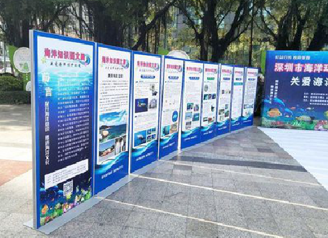 开远KT板的种类和知识。